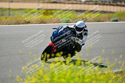media/May-10-2024-2WTD (Fri) [[c88d7990af]]/Group B/Session 2-The Bowl/